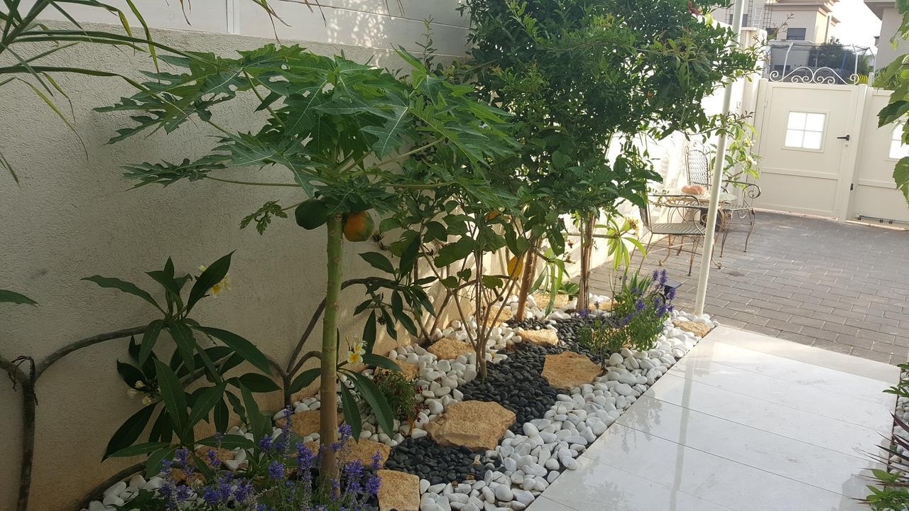 Regina'S Place Or Akiva Екстериор снимка